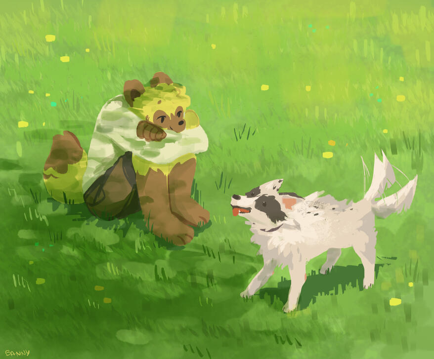 meadow